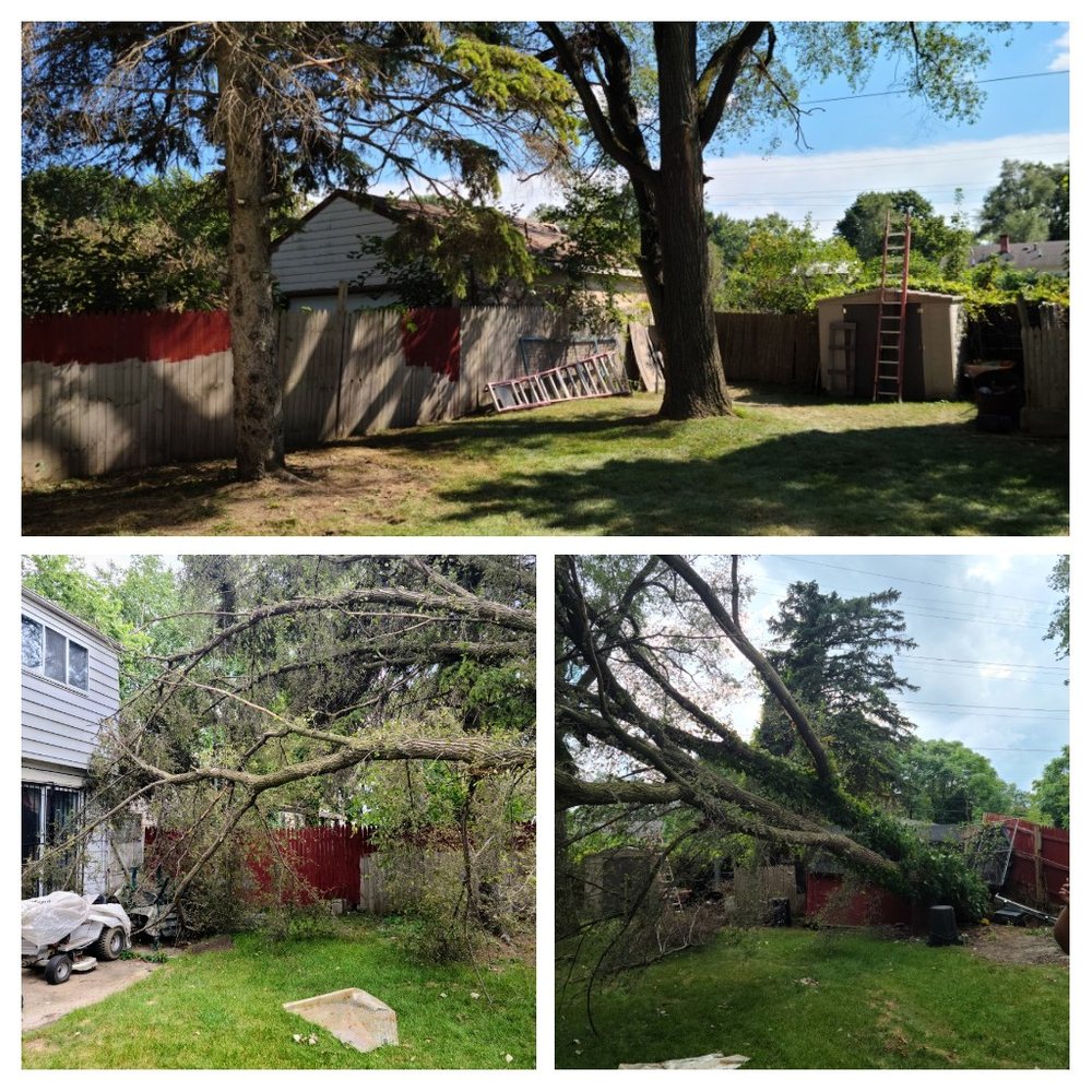 ROSE FAMILY TREE & FARM SERVICES Request a Quote berville