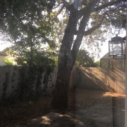 Before removal. Before removal.