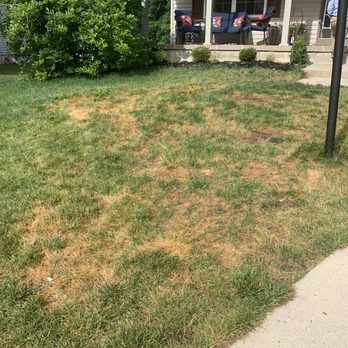 TruGreen Lawn Care - a patch of grass in front of a house - Tree Services Near Me - Springboro, Ohio