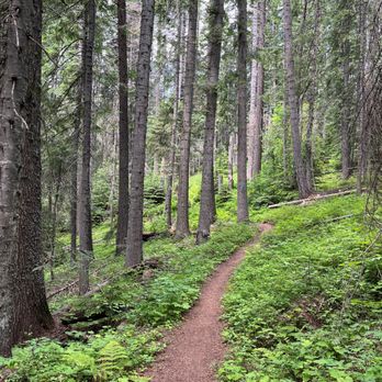 Mount Spokane State Park - Parks Near Me - Mead, Washington