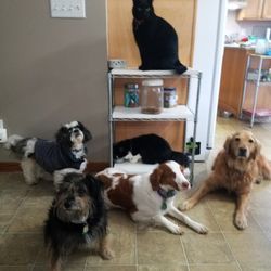 Animal Clinic of Chardon