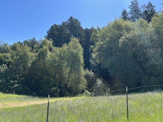 North Sonoma Mountain Regional Park by null