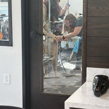 truBOND Veterinary Center - He even smiles during a grooming session - Pet Groomers Near Me - Colleyville, Texas truBOND Veterinary Center - He even smiles during a grooming session - Pet Groomers Near Me - Colleyville, Texas