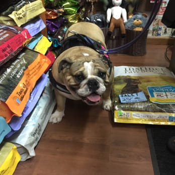 Bushwick Bark - Pet Stores Near Me - Brooklyn, New York