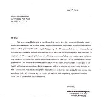 Alison Animal Hospital - Veterinarians Near Me - Brooklyn, New York