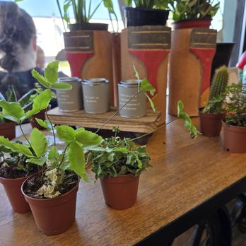 Seven Made - Coffee & Tea Near Me - Clermont, Florida