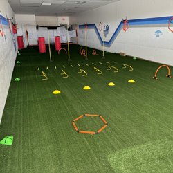 The Soccer Elite