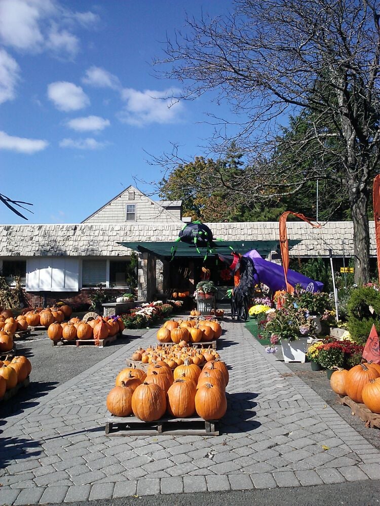 AMODIO’S GARDEN CENTER & FLOWER SHOP Updated October 2024 16