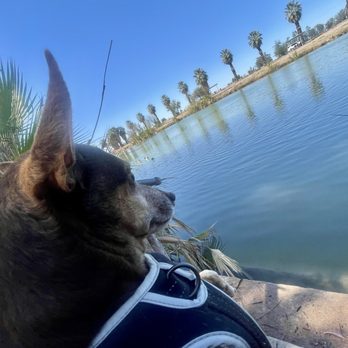 Sunbeam Lake - Lakes Near Me - Seeley, California