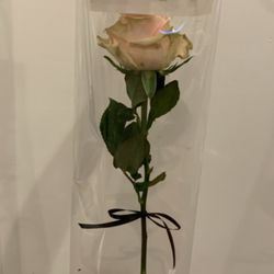 Sweet At Heart