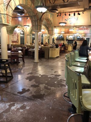 Zio S Italian Kitchen Closed 88 Photos 163 Reviews Italian 12858 Interstate 10 Frontage Rd San Antonio Tx Restaurant Reviews Phone Number Menu