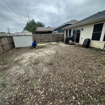 Az Tree Services - Tree Services Near Me - Dallas, Texas
