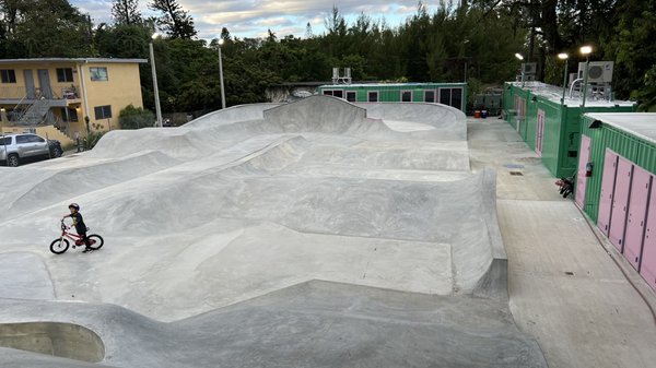 Skatebird Miami by null