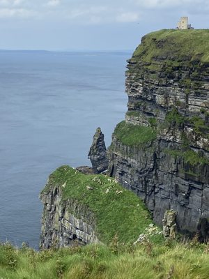 Cliffs of Moher Experience by null