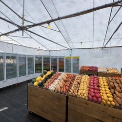 Foley's Produce