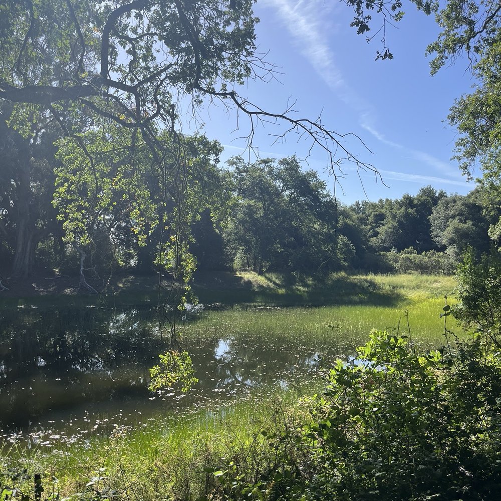 Zinfandel Trail - Hiking Near Me - Cupertino, California Zinfandel Trail - Hiking Near Me - Cupertino, California