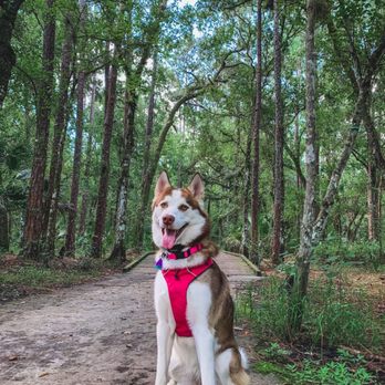 Shingle Creek Trail - Dog - Public Services & Government Near Me - Orlando, Florida Shingle Creek Trail - Dog - Public Services & Government Near Me - Orlando, Florida