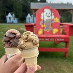 Skyline Ice Cream & Cottages - Chocolate panda paws - small & french roast coffee - kiddie size, both in gluten-free wafer cone