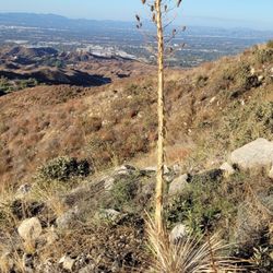 Lopez Canyon Park