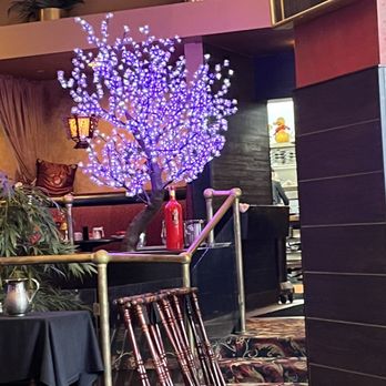 Oriental Wok - Cool tree - Chinese Near Me - Fort Mitchell, Kentucky
