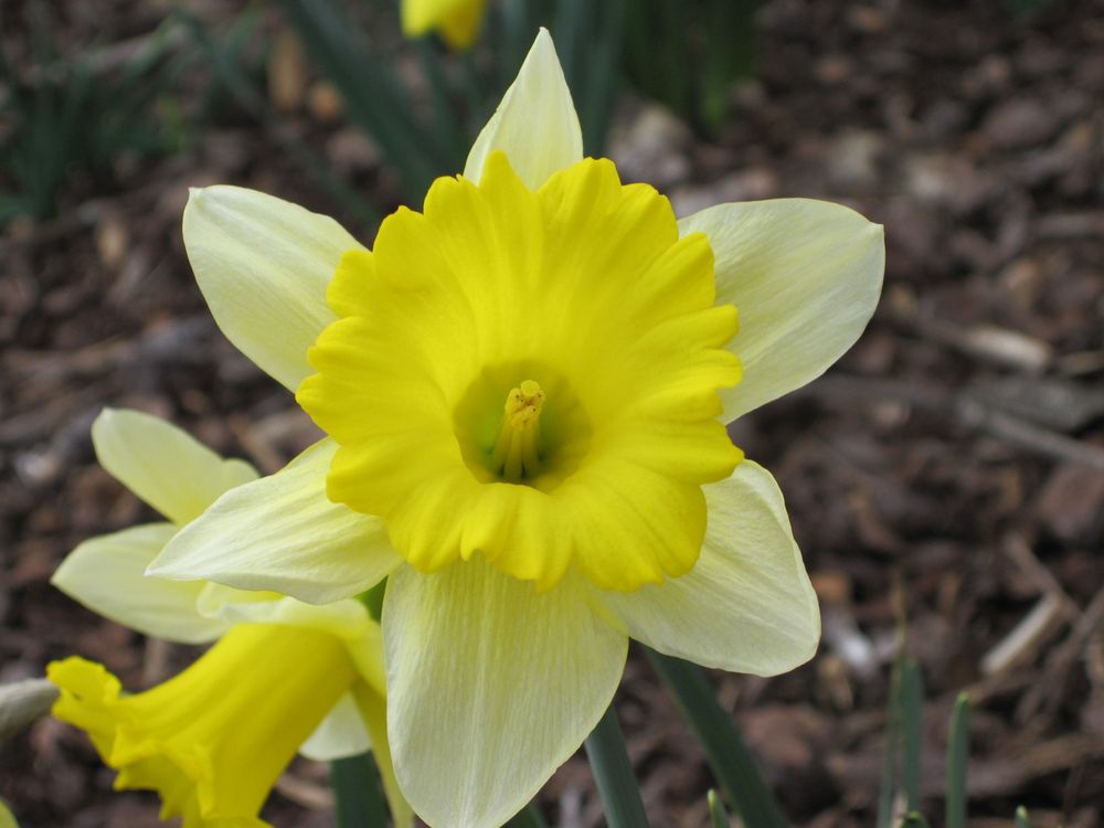 DAVID B MALIN, DDS Updated September 2024 10 Photos 300 Foust St