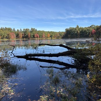 Maxwell Mays Wildlife Refuge - Carr Pond - Hiking Near Me - Coventry, Rhode Island Maxwell Mays Wildlife Refuge - Carr Pond - Hiking Near Me - Coventry, Rhode Island
