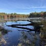 Maxwell Mays Wildlife Refuge