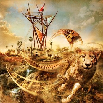 Cheetah Hunt - Cheetah Hunt Rollercoaster Wall Art, Busch Gardens Theme Park, Tampa - Amusement Parks Near Me - Tampa, Florida