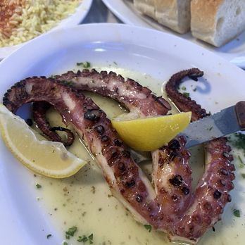 Hellas Restaurant - Octopus - Bakeries Near Me - Tarpon Springs, Florida Hellas Restaurant - Octopus - Bakeries Near Me - Tarpon Springs, Florida