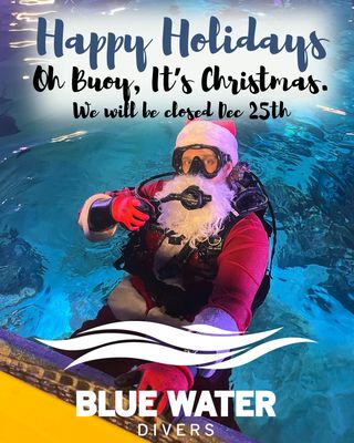 Blue Water Divers by null