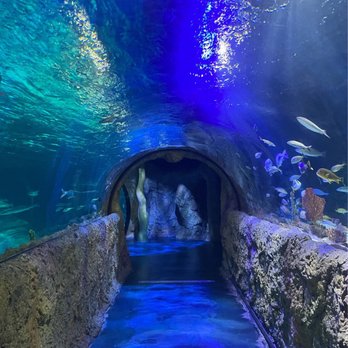 ICON Park - Amusement Parks Near Me - Orlando, Florida ICON Park - Amusement Parks Near Me - Orlando, Florida