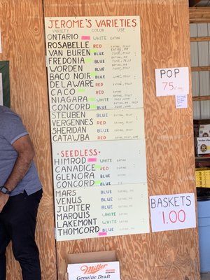 Jerome's U-Pick Fruit Farm by null