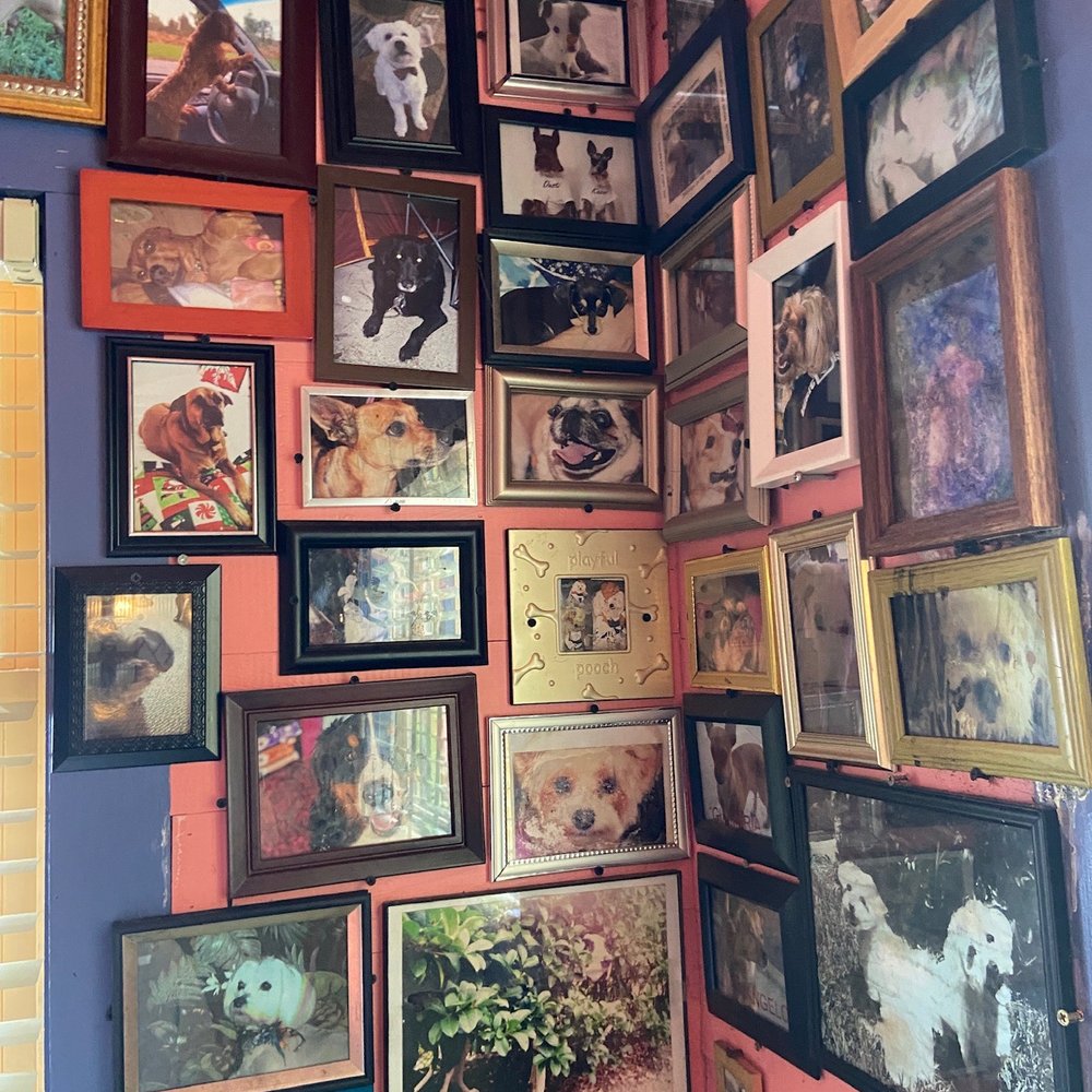 Chuy's - Dog pics from our booth - Tex-Mex Near Me - Kissimmee, Florida Chuy's - Dog pics from our booth - Tex-Mex Near Me - Kissimmee, Florida