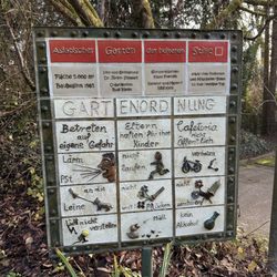Asiatischer Garten