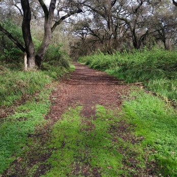 Caswell Memorial State Park - Parks Near Me - Ripon, California