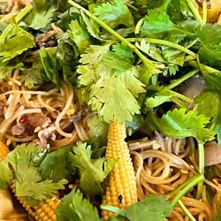 Sizzle Mongolian Grill - The Sizzle experience with extra fresh cilantro!
