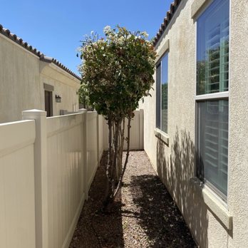 JS Tree Care - After - Tree Services Near Me - Hesperia, California JS Tree Care - After - Tree Services Near Me - Hesperia, California