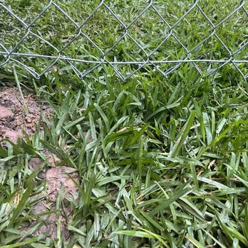 GOAT Fence - Decks & Railing Near Me - Houston, Texas GOAT Fence - Decks & Railing Near Me - Houston, Texas