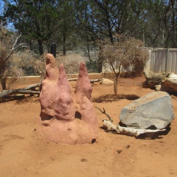Monarto Safari Park - Meerkat Enclosure - Zoos Near Me - Monarto, SA