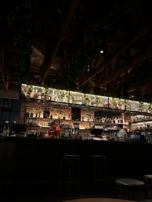Bar Bohemien by null