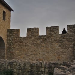 Kaiserpfalz Werla - Oh, da ist jemand auf der Burg!