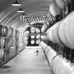 Wonderboy Websites - Mindego Ridge Vineyard