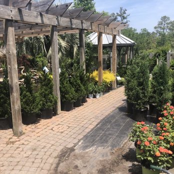 Kitty Hawk Garden Center - Nurseries & Gardening Near Me - Kitty Hawk, North Carolina Kitty Hawk Garden Center - Nurseries & Gardening Near Me - Kitty Hawk, North Carolina