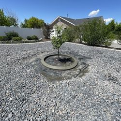 Quality first Lawn Care & Maintenance