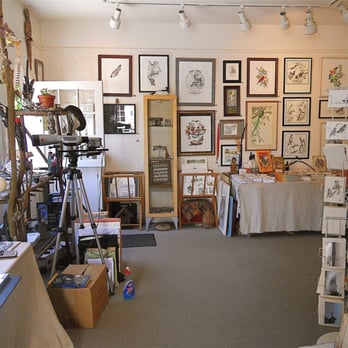 Wildlife Gallery & Studio - Art Galleries Near Me - Bolinas, California Wildlife Gallery & Studio - Art Galleries Near Me - Bolinas, California
