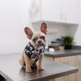 Photo of PetCure Oncology Pittsburgh