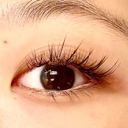 Lash Tec