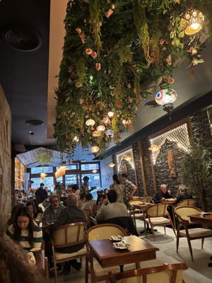 Elephant Ear by null