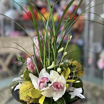 Brigitte's Flowers Galore - Orchid Dish - Florists Near Me - Fort Lauderdale, Florida Brigitte's Flowers Galore - Orchid Dish - Florists Near Me - Fort Lauderdale, Florida