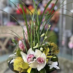 Brigitte's Flowers Galore - Orchid Dish